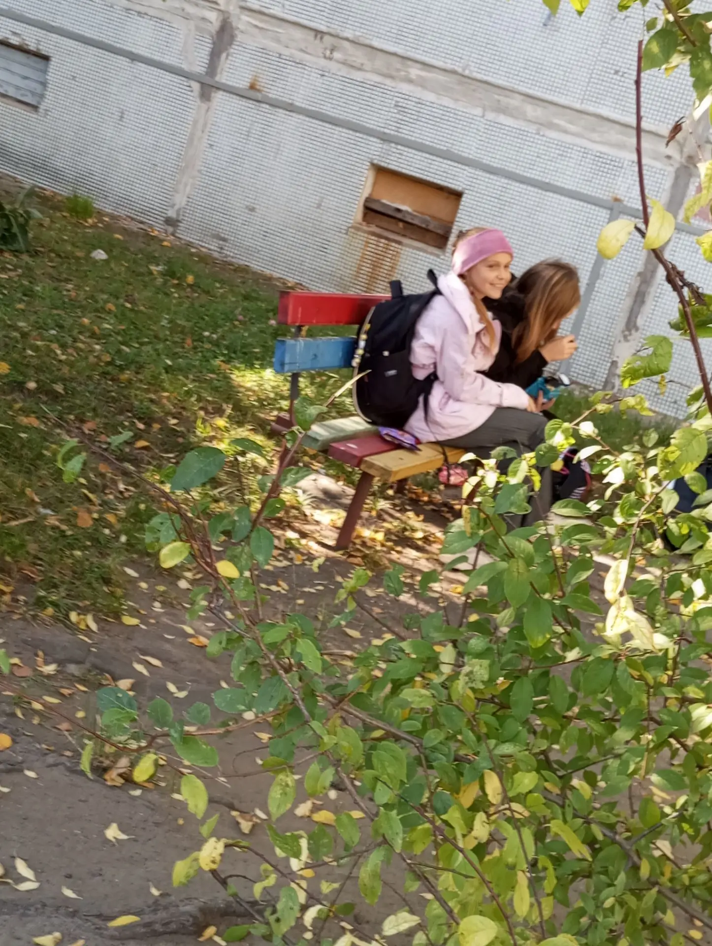Предложка: