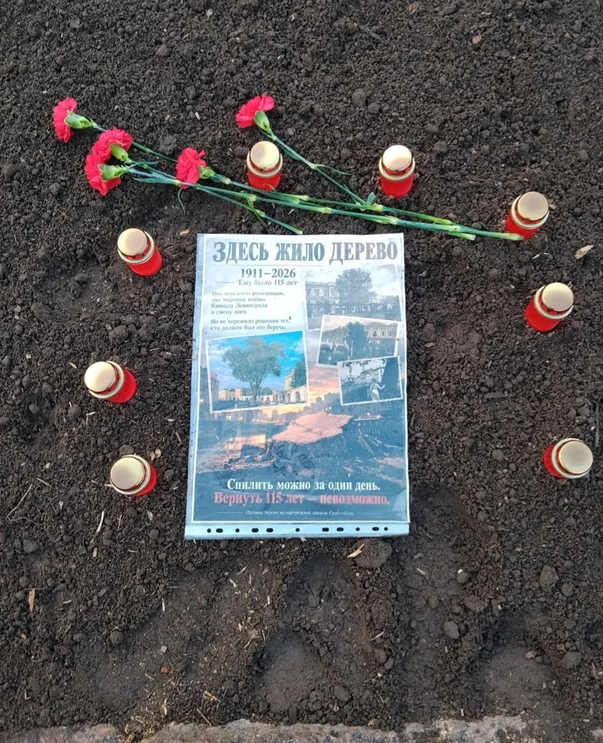 🕯️ Стихийный мемориал в память о 115-летнем тополе появился на набережной канала Грибо...