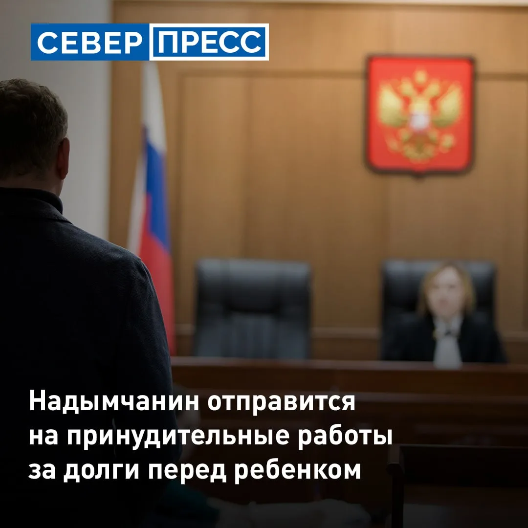 Суд в Надыме назначил местному жителю восемь месяцев принудительных работ за неуплату а...