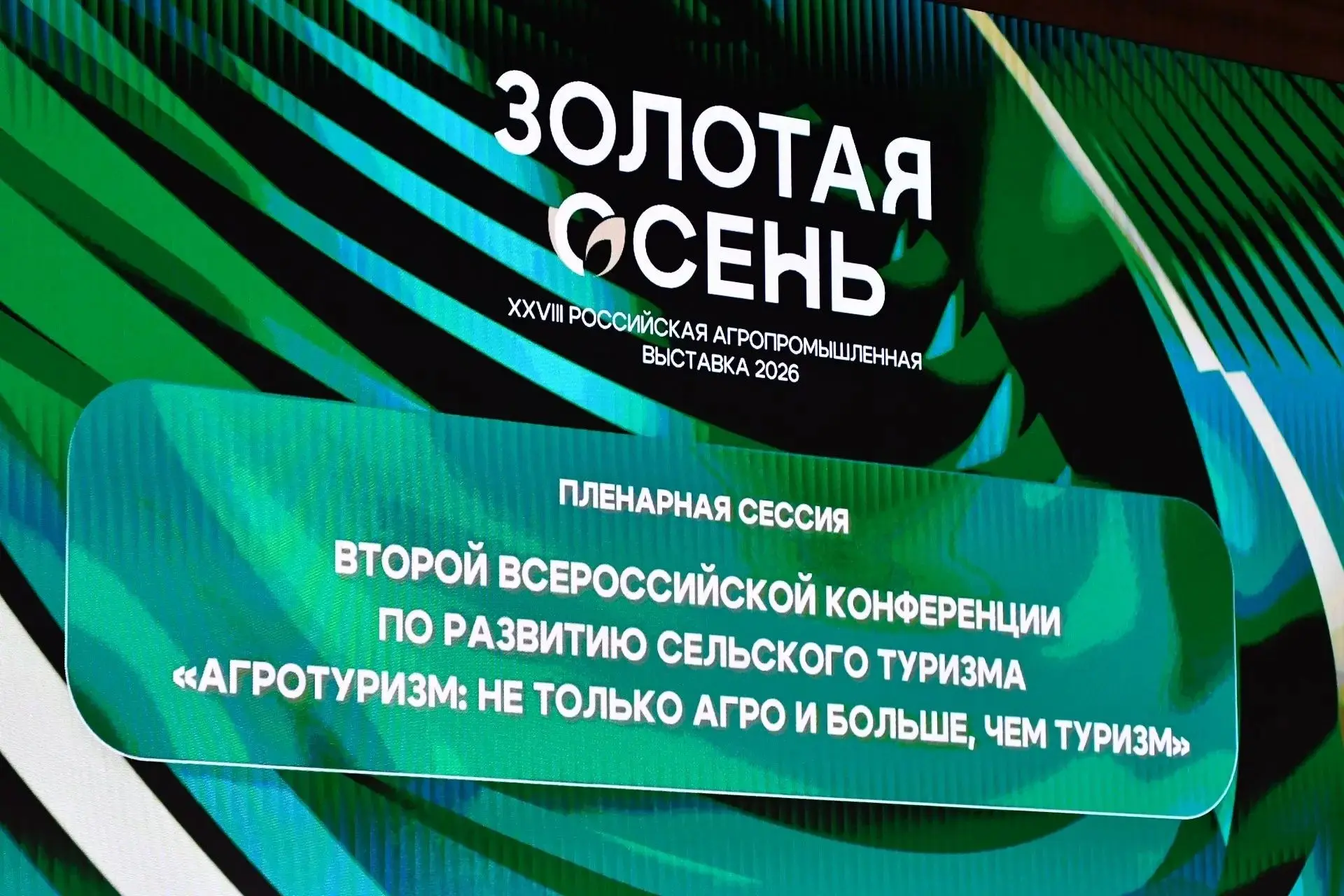 Хоккей как путь в агротуризм: идею Андрея Николишина обсудили применительно к Коми