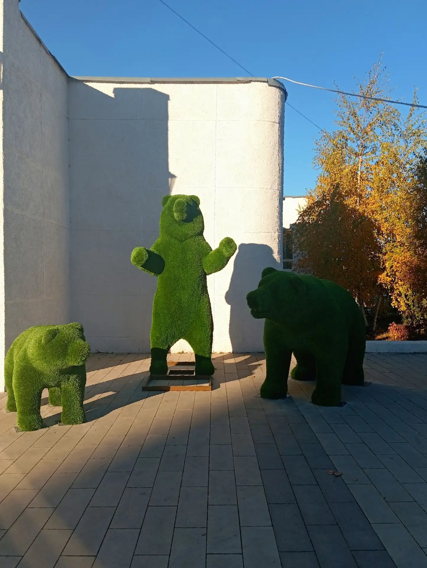Возле музея поселились мишки 🧸