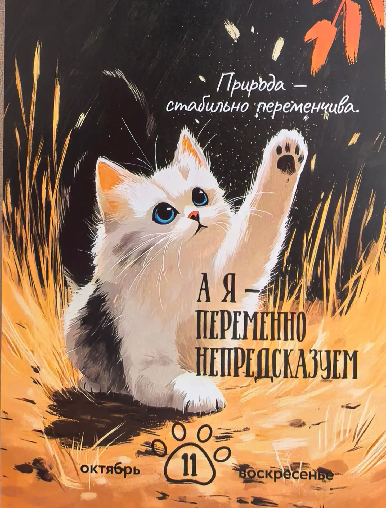 Котик в последний момент врывается в чат воскресенья - всё так и есть)