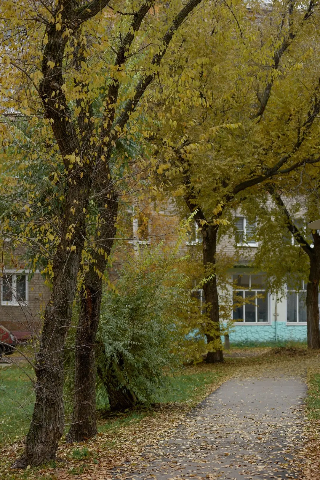 С добрым утром, Шатура 🍂