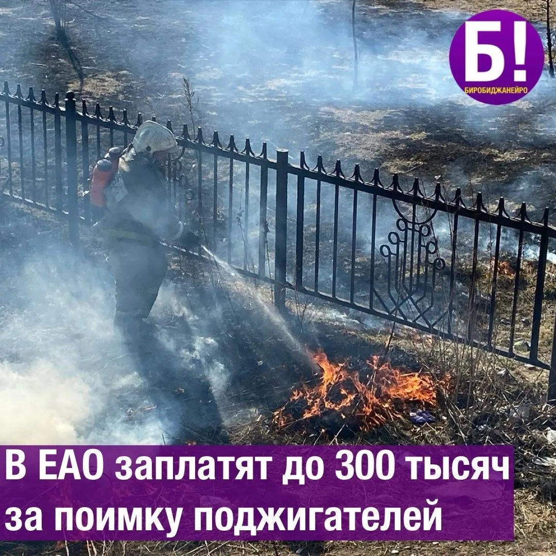 В ЕАО заплатят до 300 тысяч за поимку поджигателей 🔥