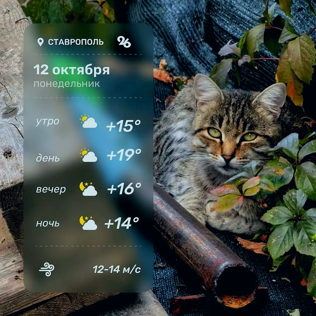 ⛅️ Доброго утра и хорошего дня, ставропольцы!