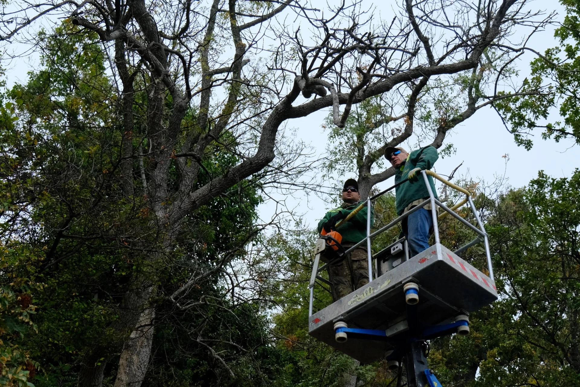 ✂️ 🌳 В муниципалитете активизировалась традиционная масштабная работа по санитарной об...