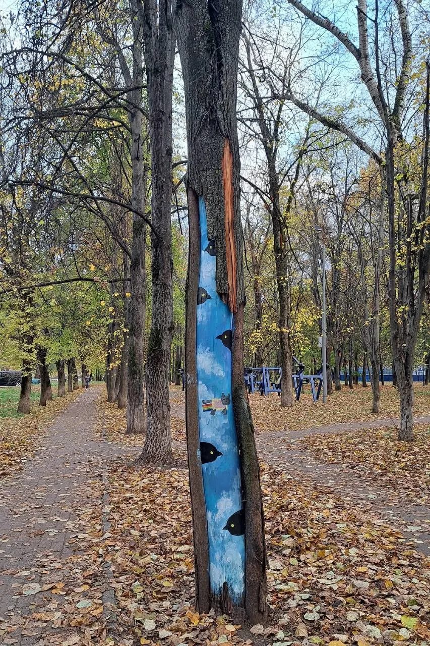 Кусочек неба среди леса 🩵