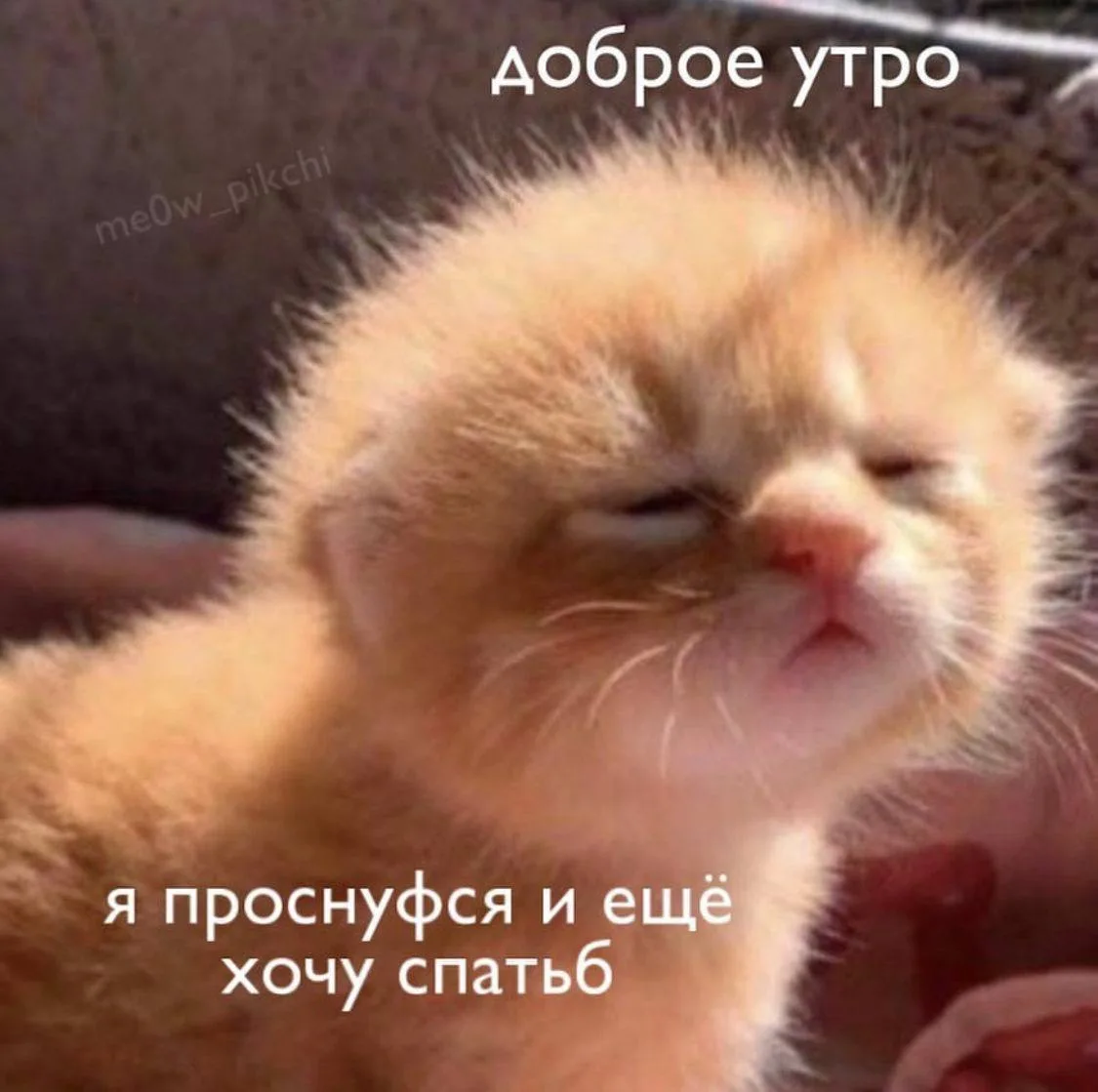 ☀️ Всем доброе утро!