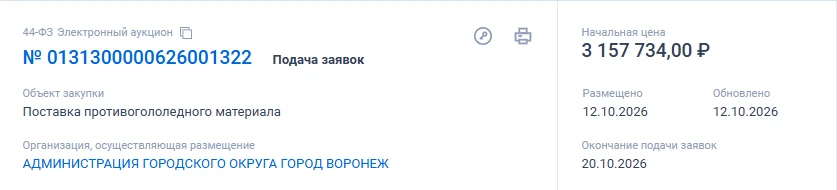 Мэрия начала закупать противогололедный материал