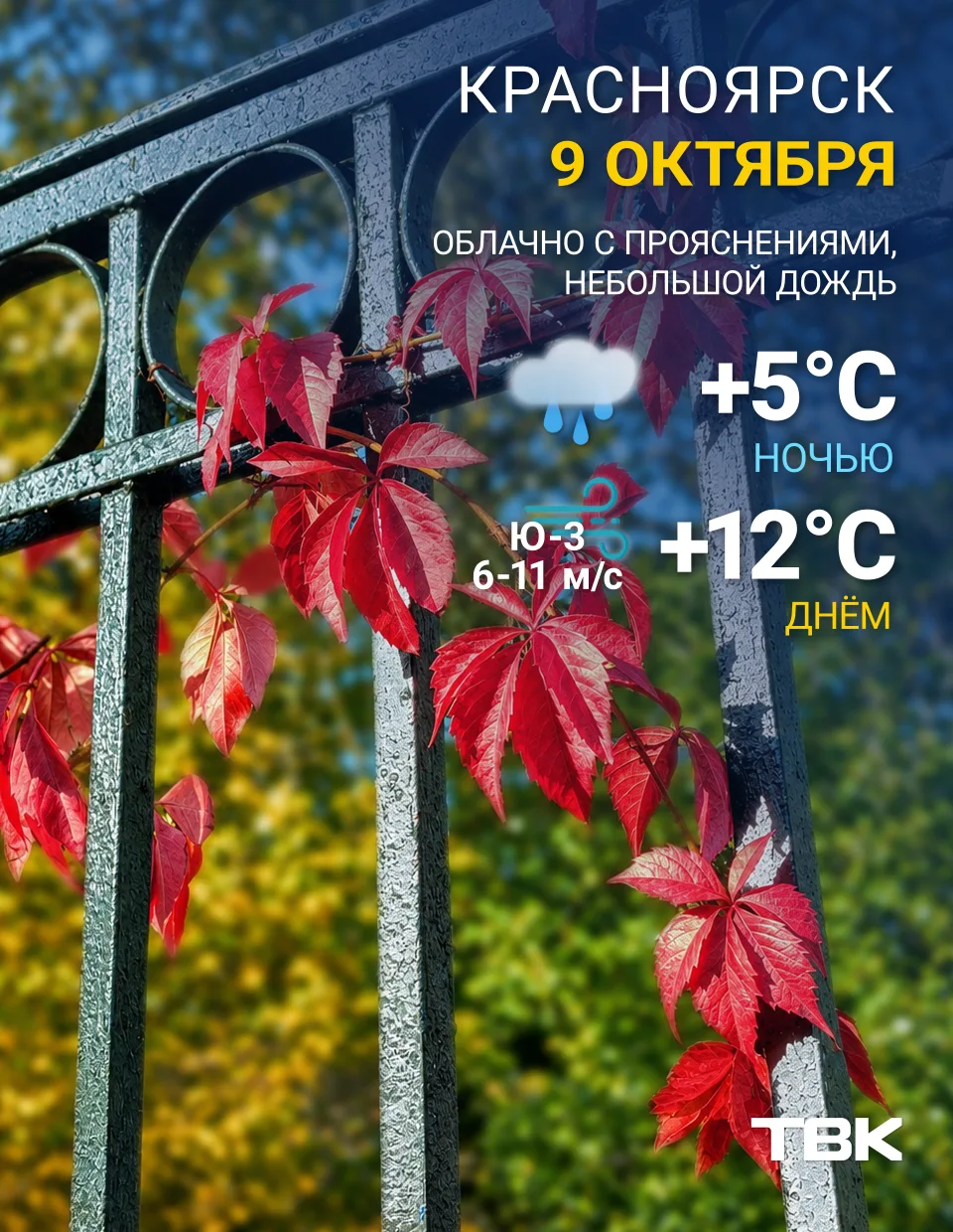 🍁Погода на сегодня