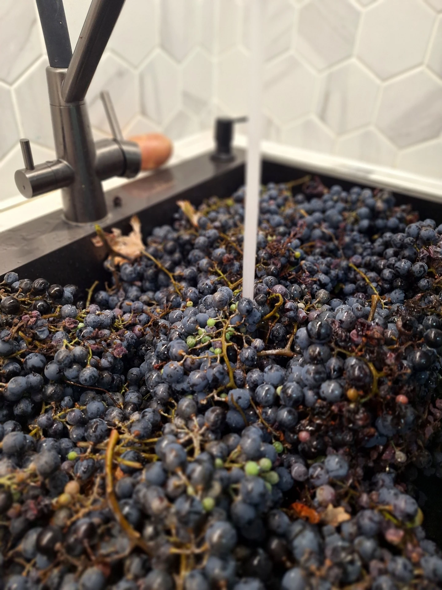 🍇 В выходные наконец‑то дошли руки снять и перебрать винный виноград.