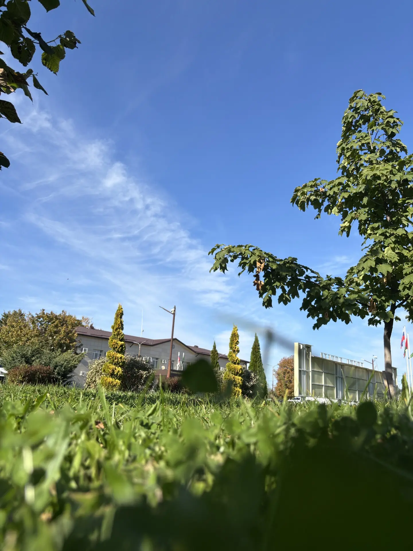 🍂 Осень в Центральном парке Гиагинского района