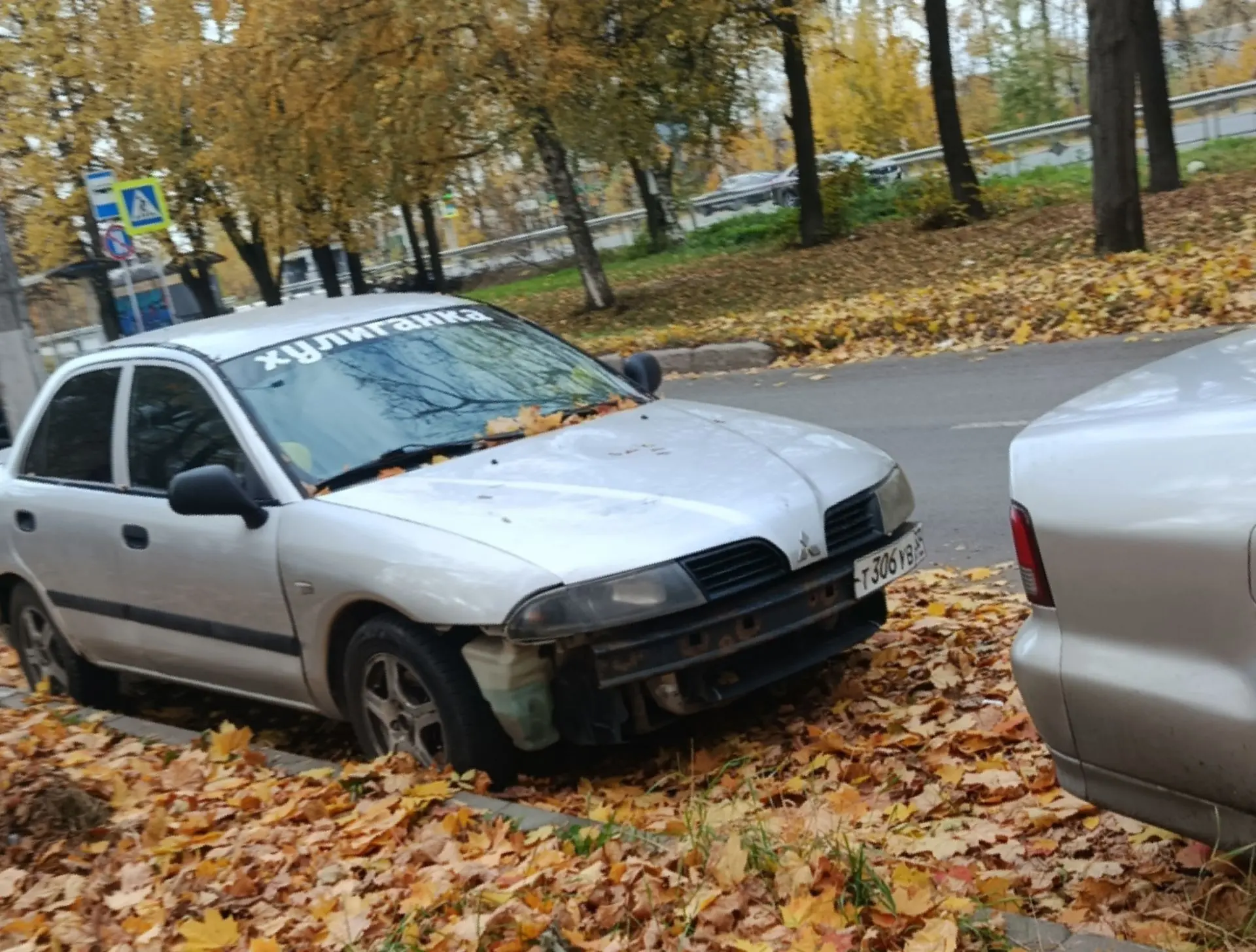 Хулиганка