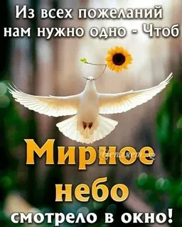 Утречко доброе,                                                             Мелиораторы...