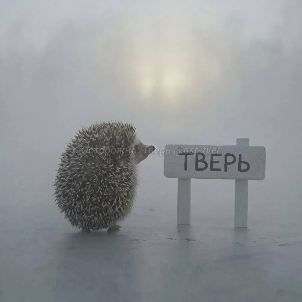 МЧС предупредило о тумане в Тверской области