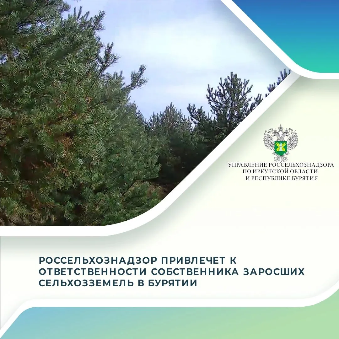 5 марта 2026 года Управление Россельхознадзора по Иркутской области и Республике Буряти...