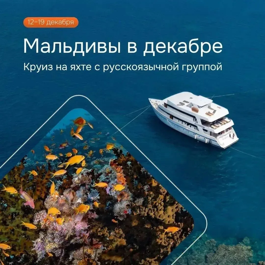 Суперновинка 🔝