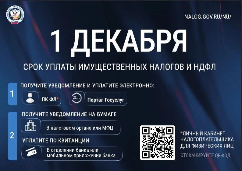 Кому осенью не придет письмо от ФНС и что делать, если письмо от налоговой потерялось н...