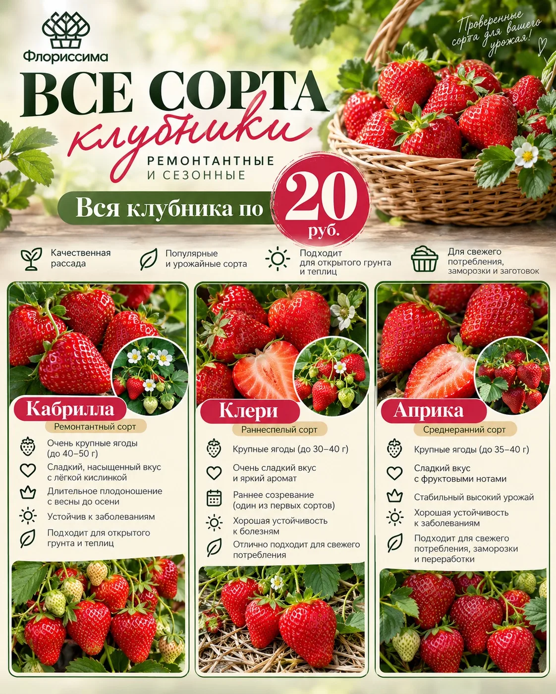 🍓 СУПЕР НОВОСТЬ!