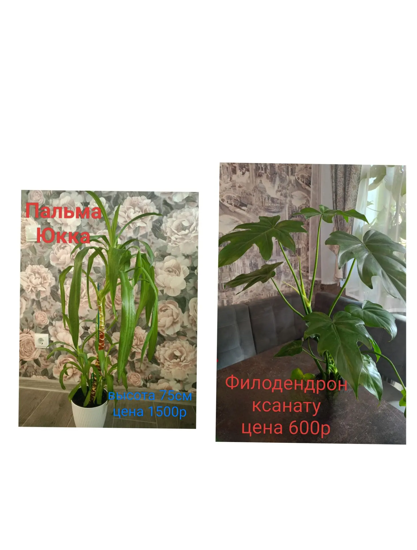 2я Российская 162