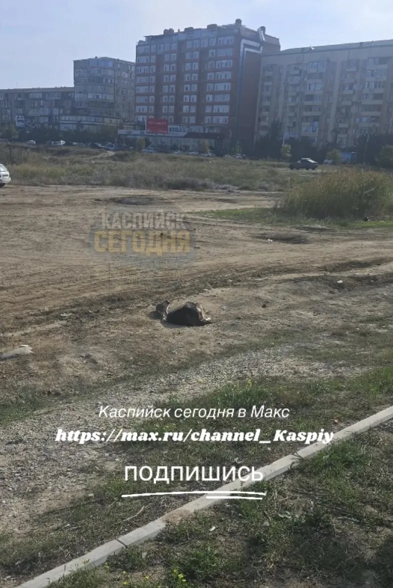 #нампишут