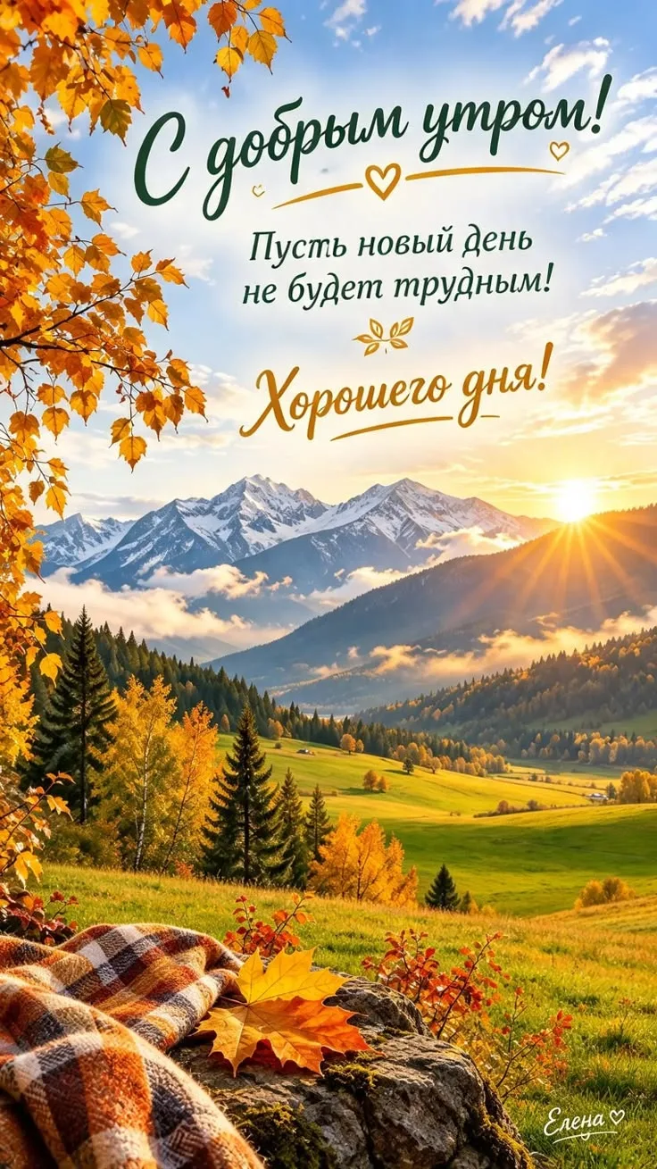 🍂🍂🍂