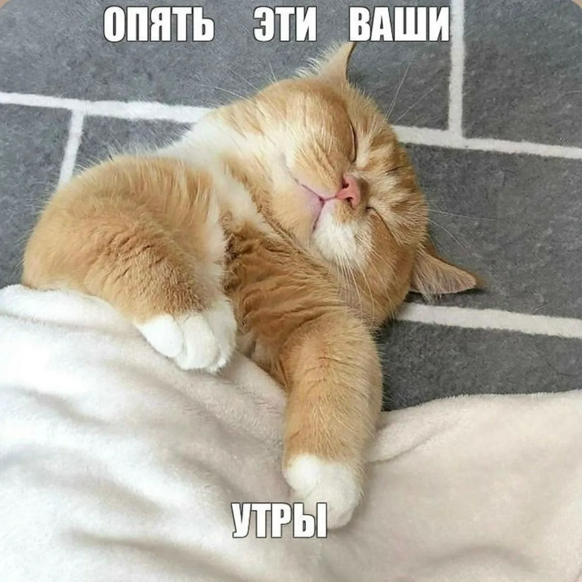 И опять эти ваши понедельники!