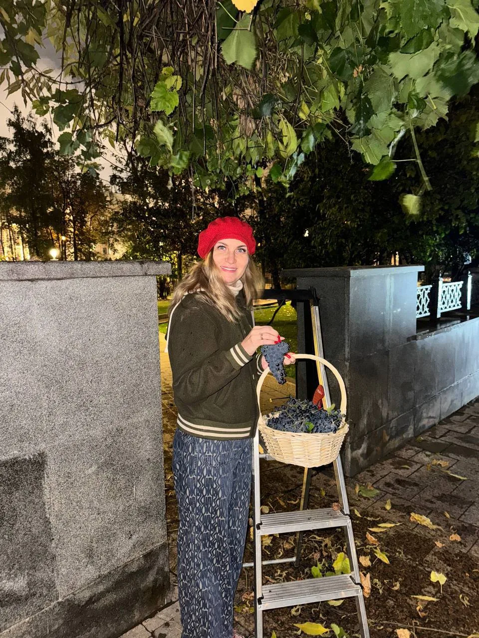 🍇Необычный урожай в Москве