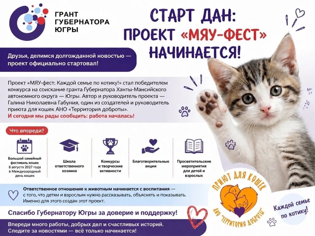 МЯУ-фест: Каждой семье по котику!