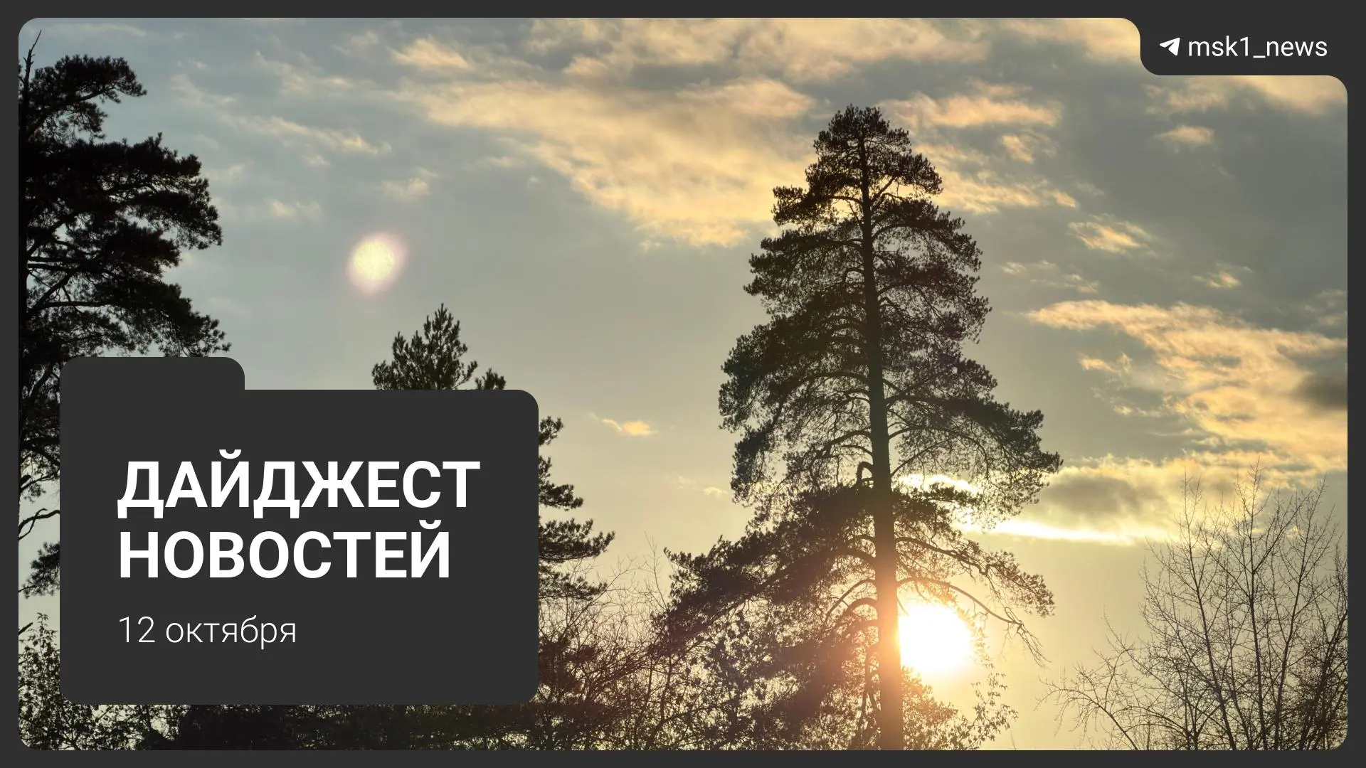 📰Дайджест новостей: главное за 12 октября