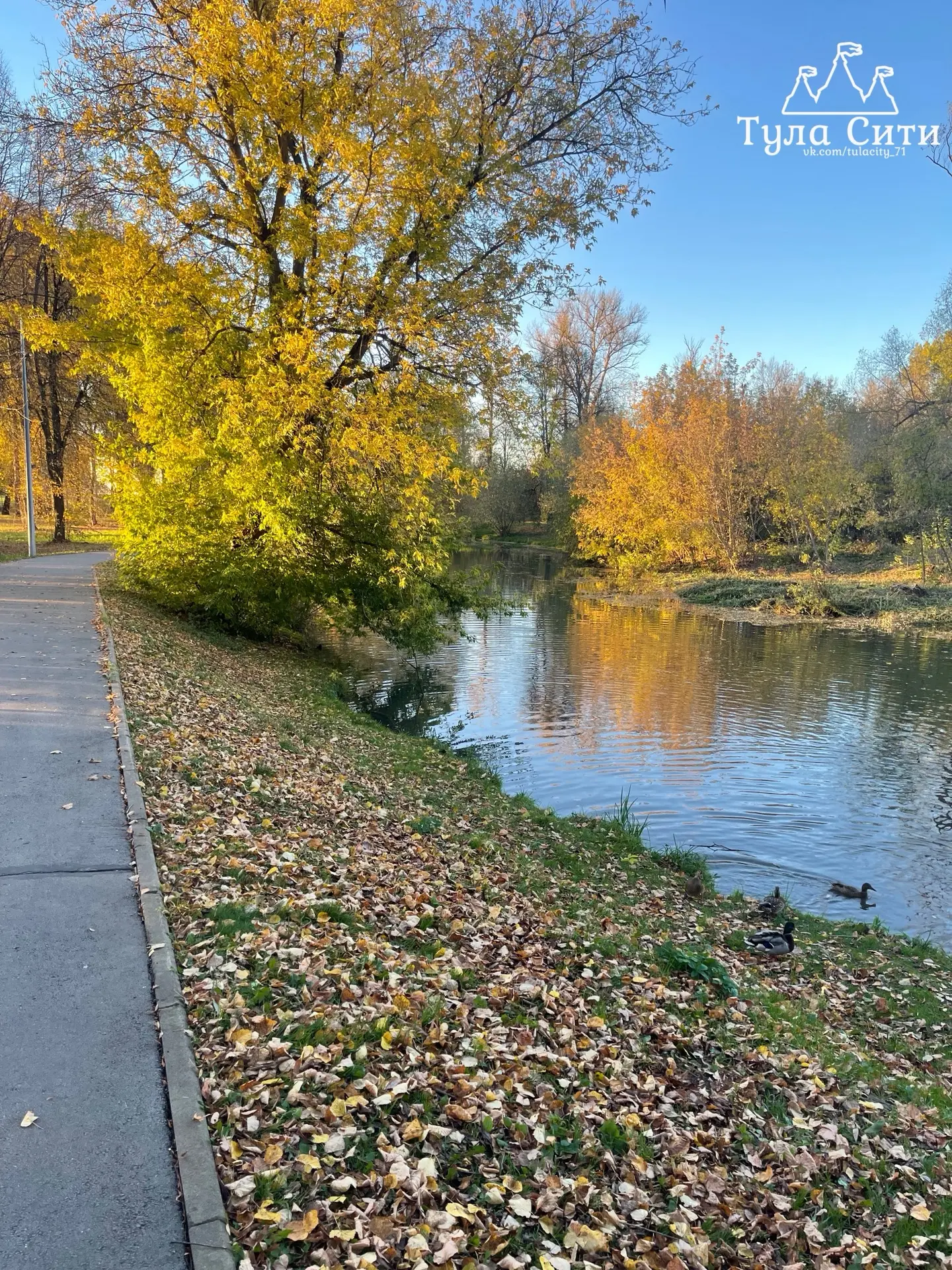 Осенние пейзажи Баташевского парка🍁