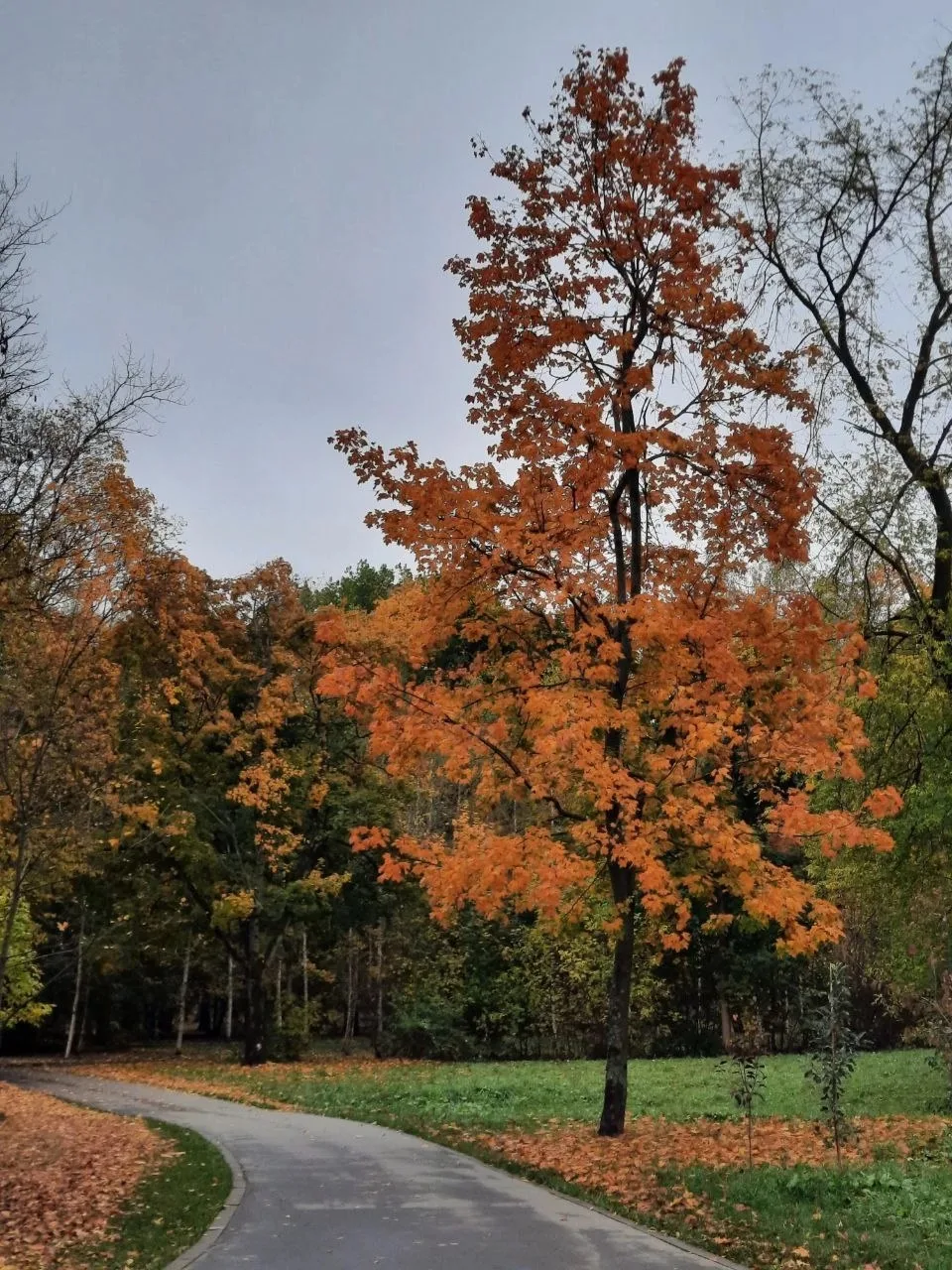 Доброе утро, Щелково 🍁