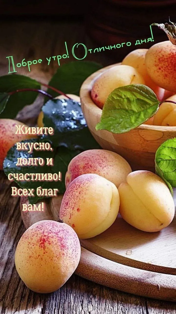 Доброе утро ❤️ сегодня мой вес 100.9кг (плюс 1.1кг)