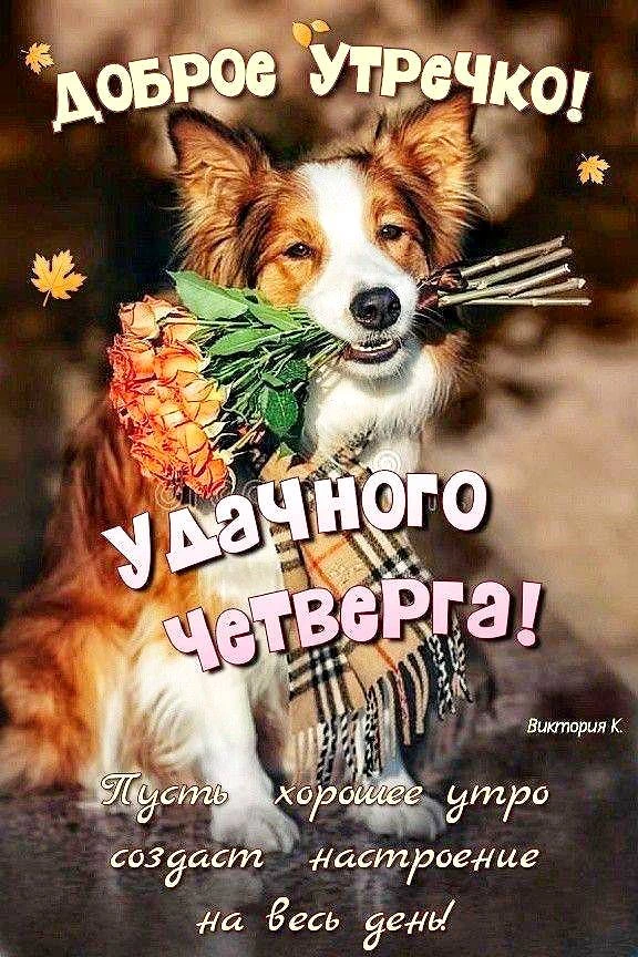 🧡🩷❤
