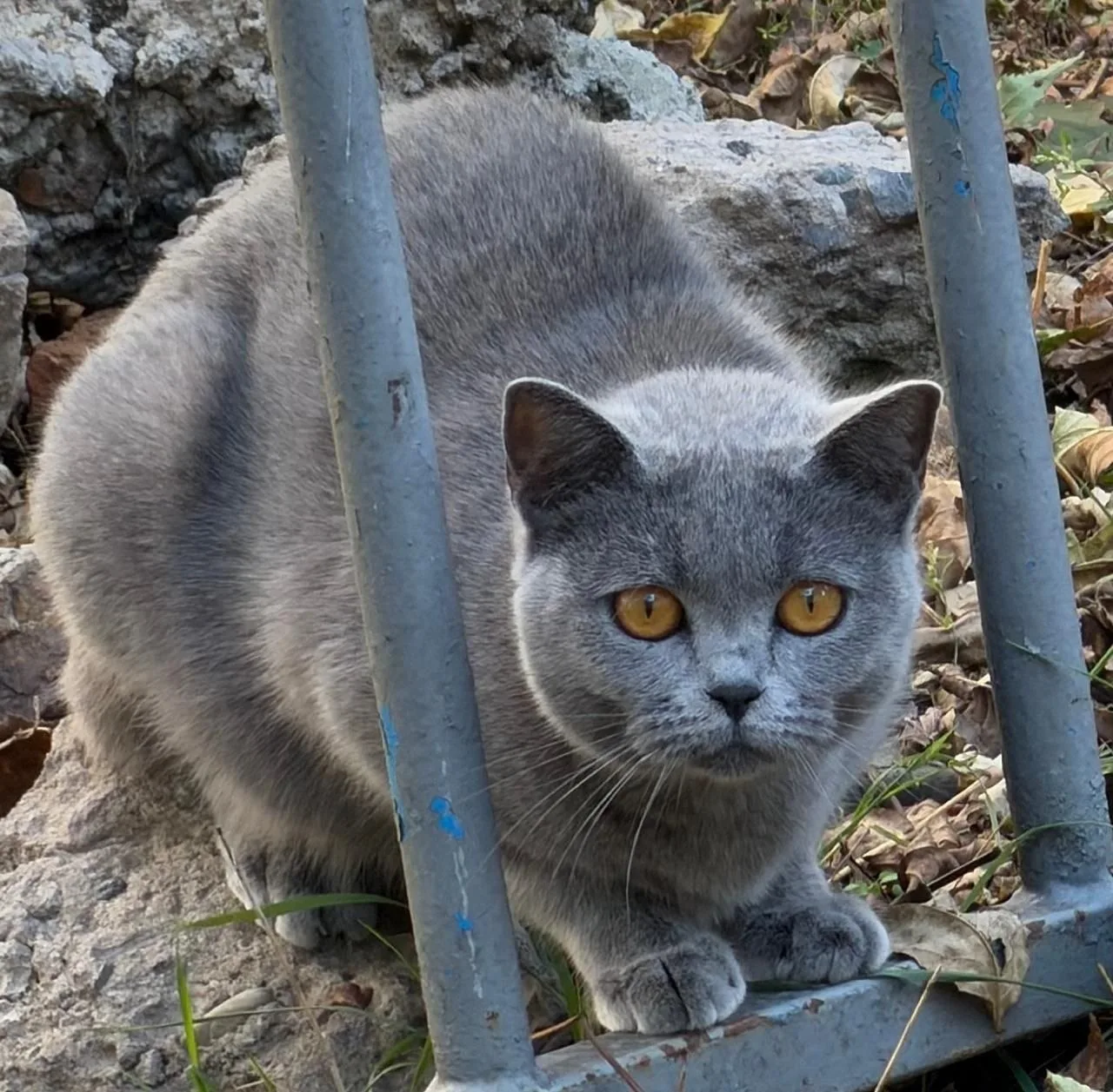 Владивосток.