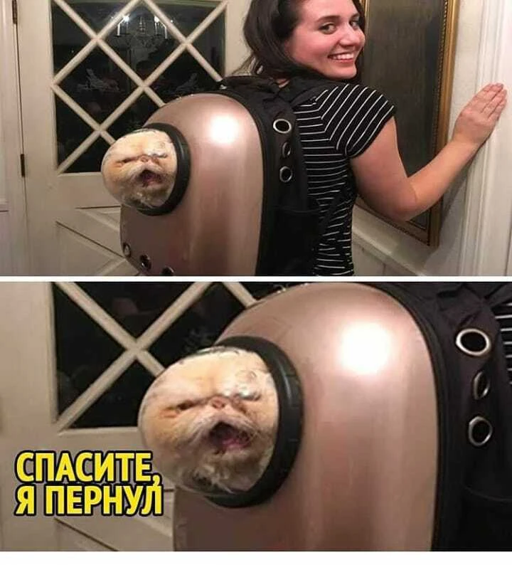 ____________________