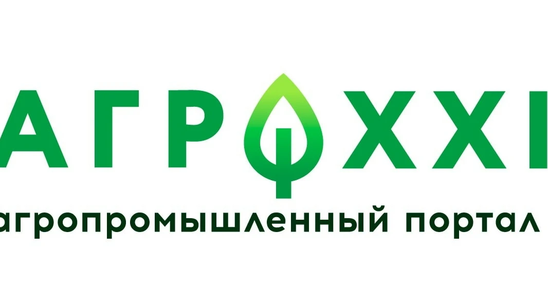 Как показали себя водные ловушки против злаковых мух на волгоградских полях озимой пшеницы