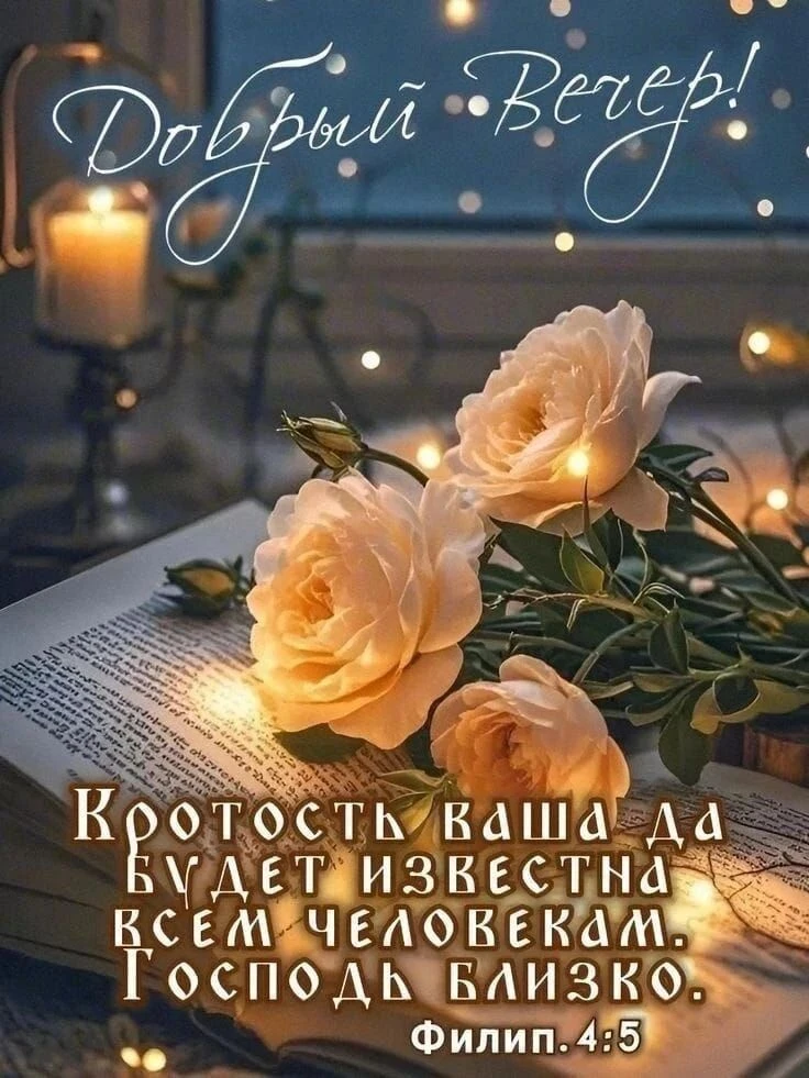 Добрый вечер.