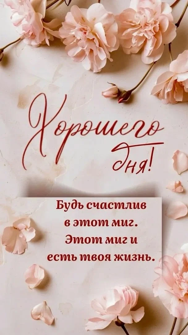 Замечательного настроения! ☀️