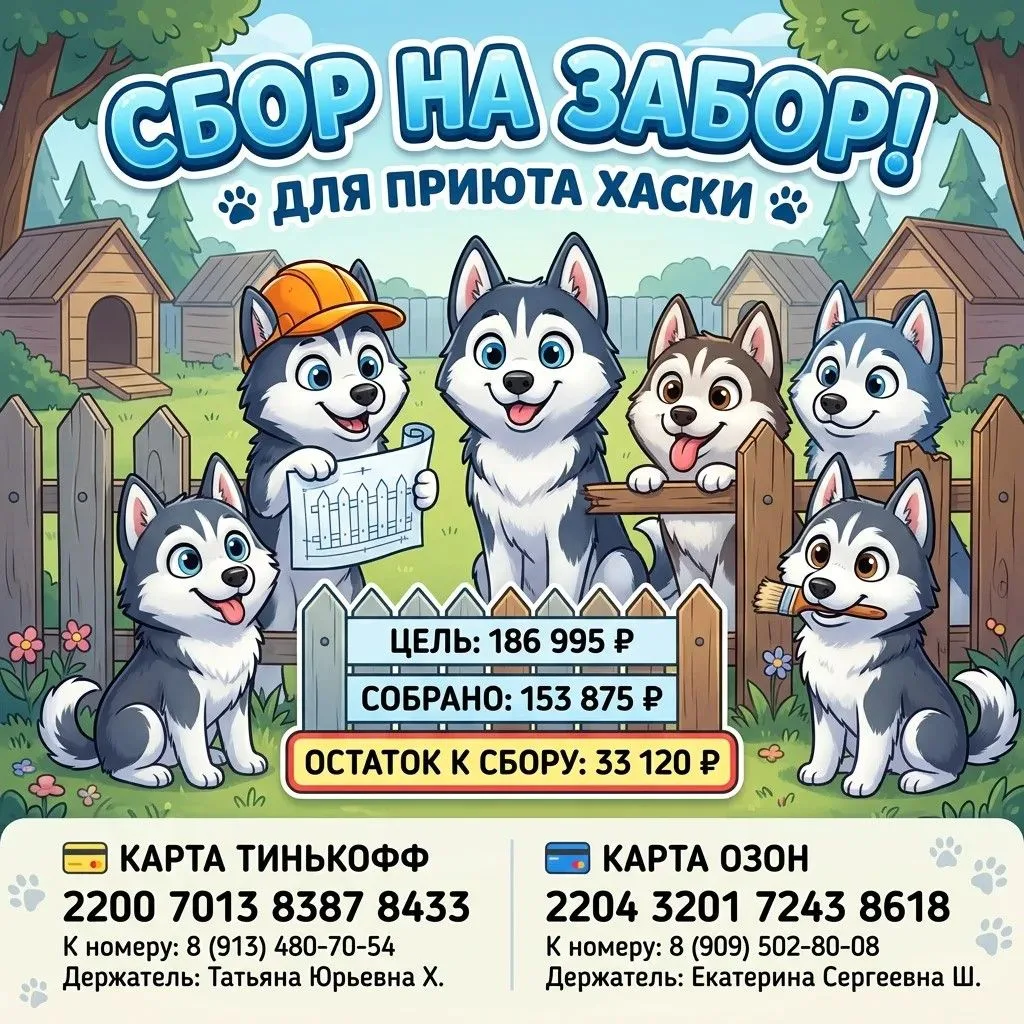 Забор почти готов и сбор почти закрыт, осталось так мало, что даже не верится🥹