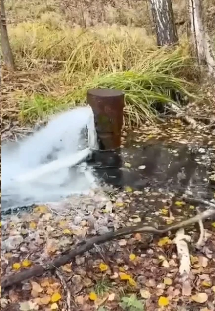 В лесу под Владимиром нашли скважину с фонтанирующей зловонной водой