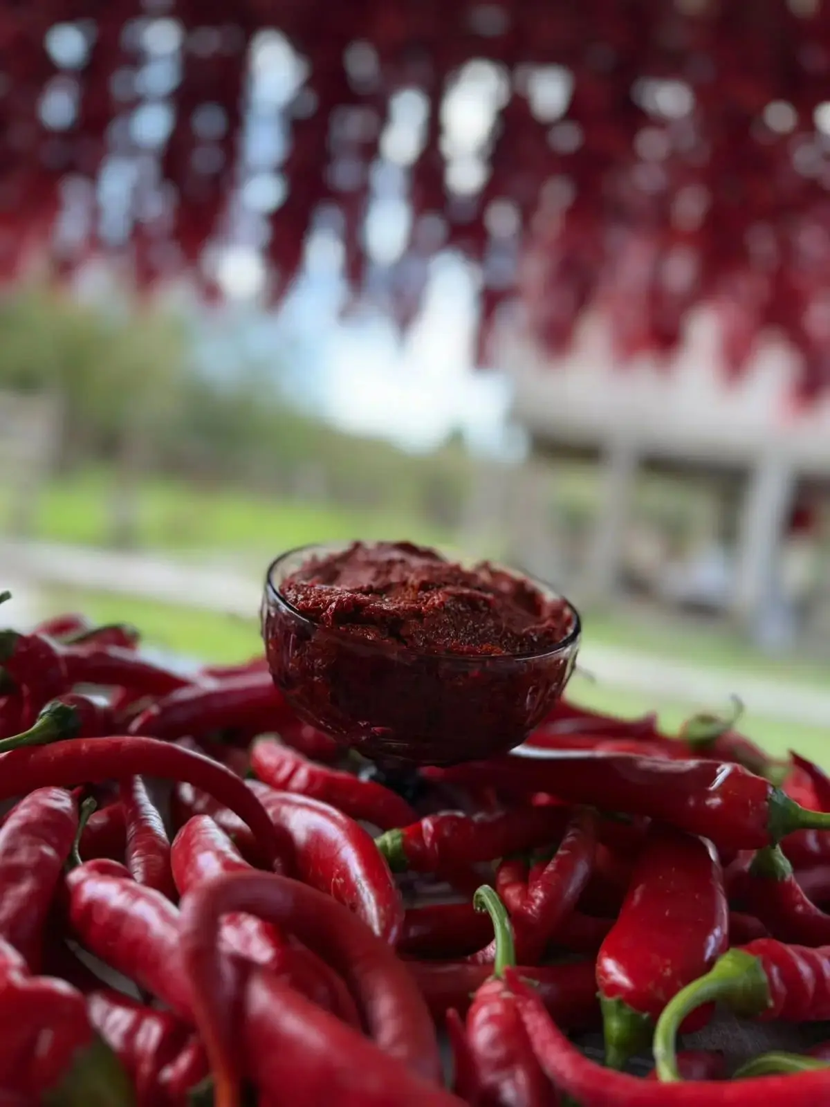 Продаю настоящую домашнюю аджику, привезенную из солнечной Абхазии. 🌶🌶🌶