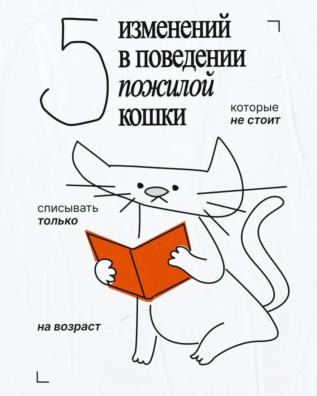 Не все изменения в поведении пожилой кошки стоит списывать на возраст.