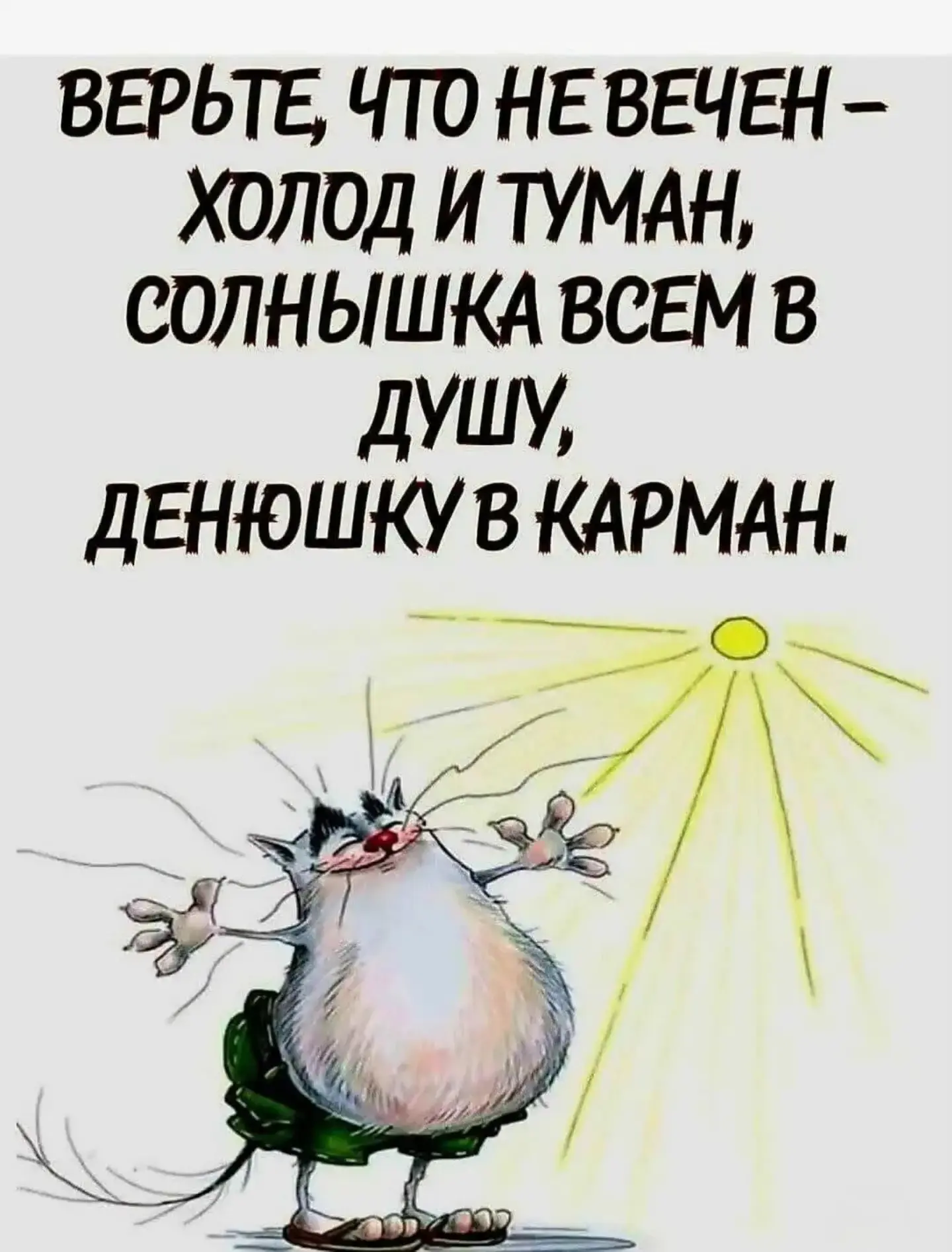 Немного душевного тепла и лучиков солнца вам в ленту! Пусть всё задуманное сбывается лё...