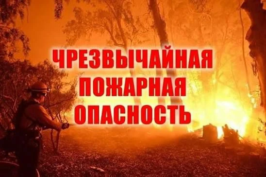 ⚠️ Ялтинцев и гостей города предупреждают о высокой пожарной опасности!