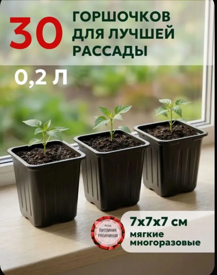 Горшки для рассады 0,2 л пластиковые квадратные, набор 30 шт