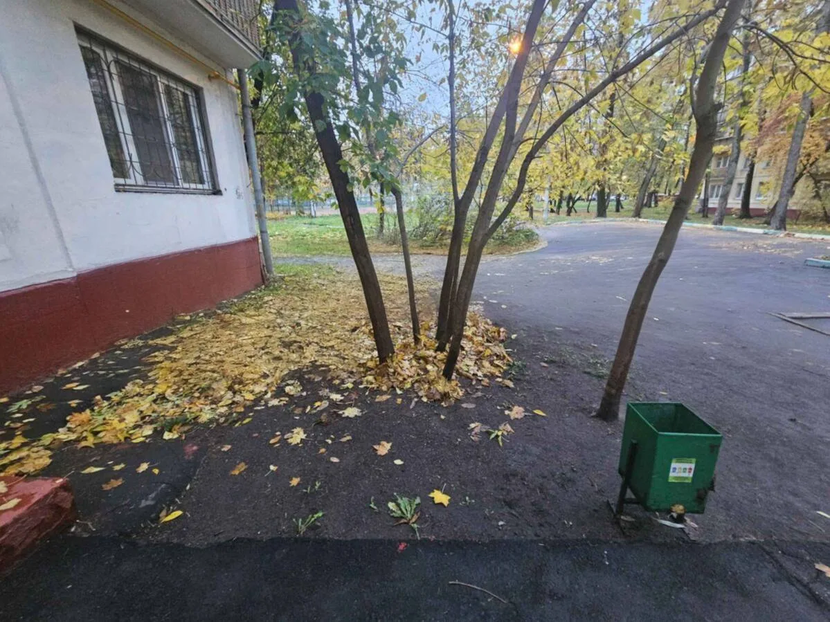🧹 В Кузьминках жители жалуются на неубранный двор
