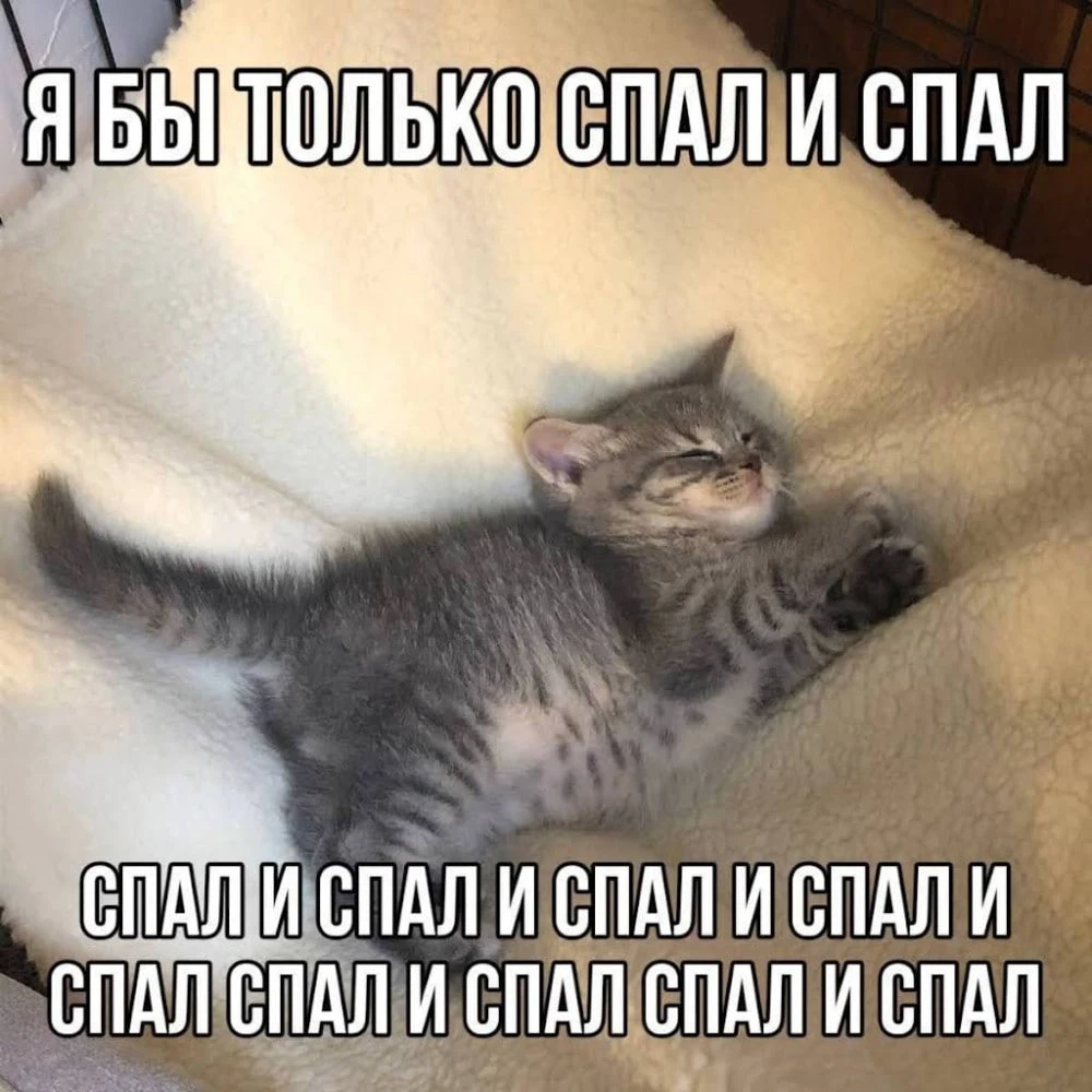 ☕️ Доброе субботнее утро! Выспались? ❤️/😴