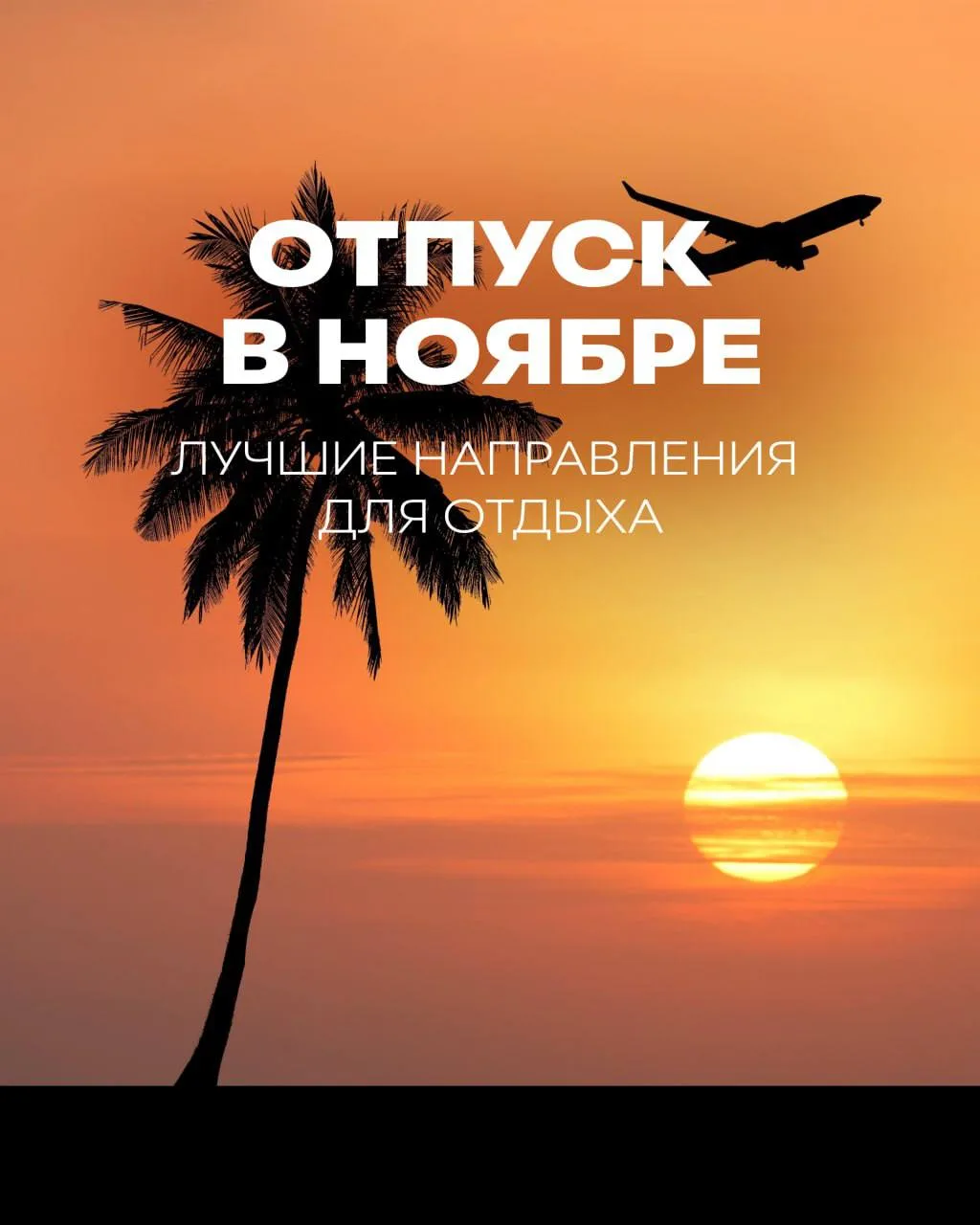 Теплый ноябрь: куда лететь вместо дождливой осени 🫰