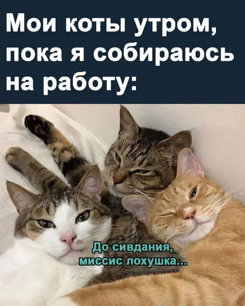 🎃 Весело у нас 🧨